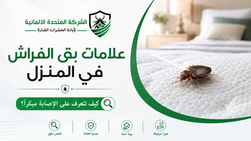 علامات وجود بق الفراش في المنزل