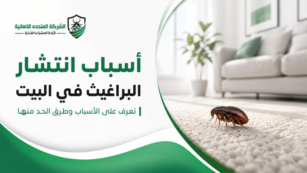 أسباب انتشار البراغيث في البيت
